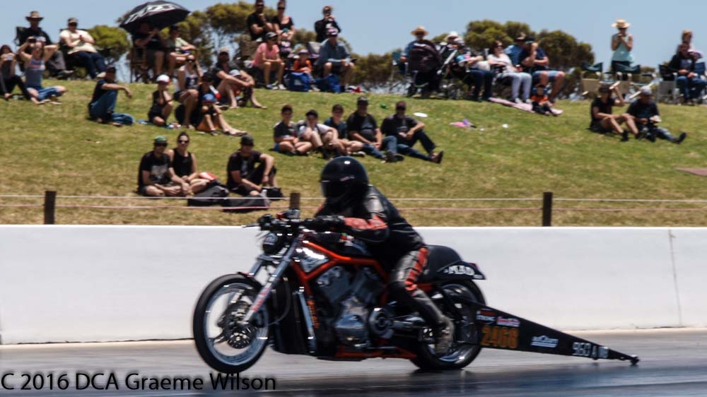 harley v rod drag bike